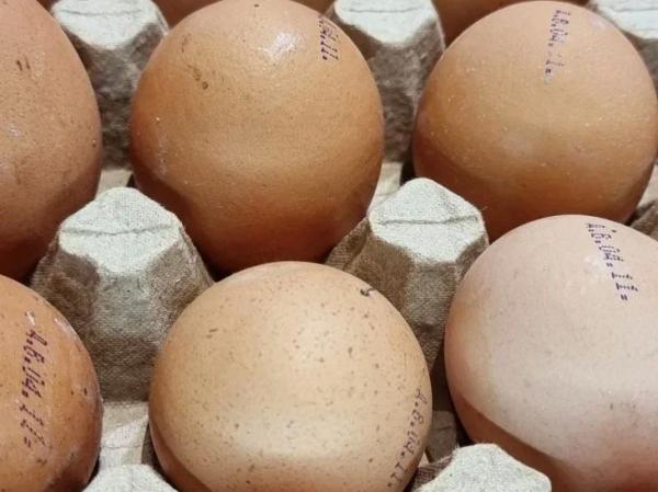 Яйца после 60: опасный продукт или секрет долголетия? Врачи молчат